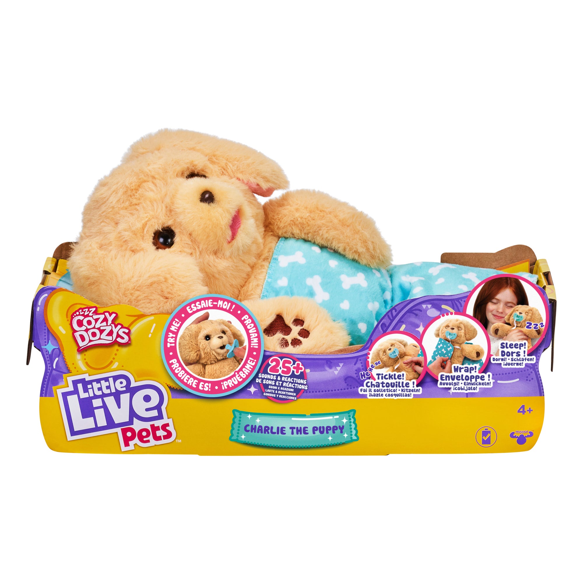 Little live puppy store